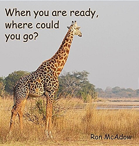 When You Are Ready, Where Could You Go? (Hardcover)