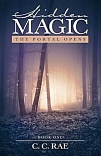 Hidden Magic: The Portal Opens (Paperback)