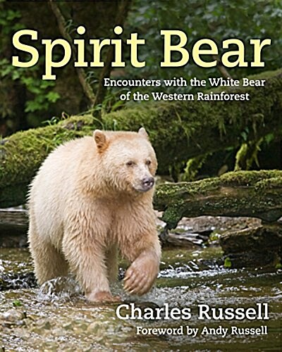 Spirit Bear: Encounters with the White Bear of the Western Rainforest (Paperback)