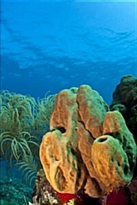 Branching Tube Sponge (Pseudoceratina Crassa) Journal: 150 Page Lined Notebook/Diary (Paperback)