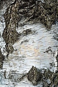 Birch Tree Bark Up Close Journal: 150 Page Lined Notebook/Diary (Paperback)