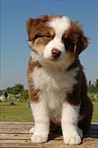 Adorable Australian Shepherd Puppy Journal: 150 Page Lined Notebook/Diary (Paperback)