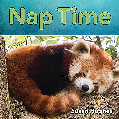 Nap Time (Board Books)