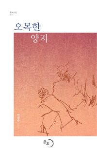 오목한 양지 : 박정수 시집