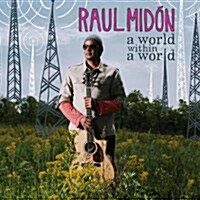 [중고] Raul Midon - A World Within A World