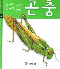 곤충 - 생생똑똑 시리즈 10