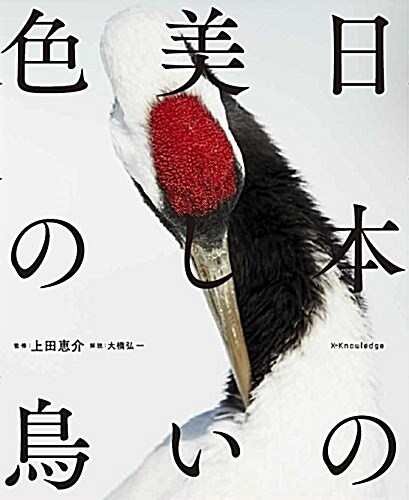 日本の美しい色の鳥 (單行本(ソフトカバ-))