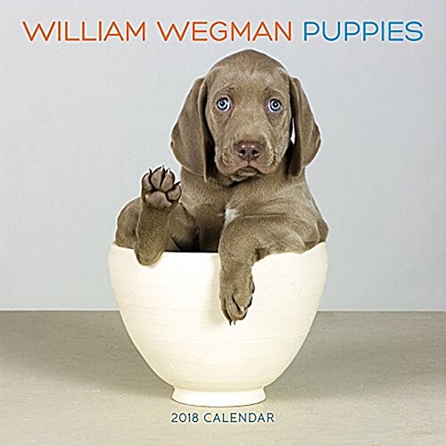 William Wegman Puppies 2018 Wall Calendar (Wall)
