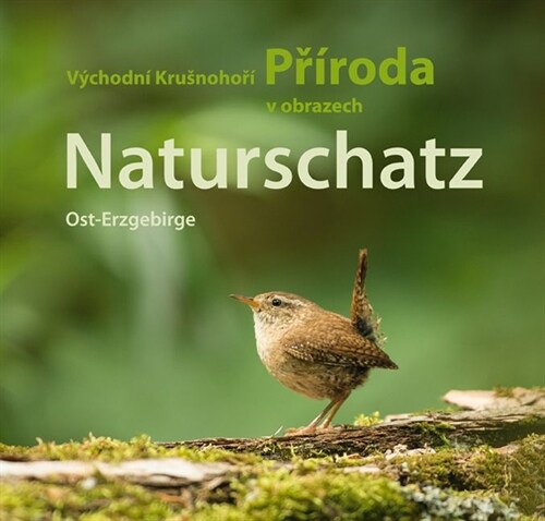 Naturschatz Osterzgebirge / Vychodni Krusnohori Priroda V Obrazech: Naturfuhrer Ost-Erzgebirge, Band 4 / Prirodou Vychodniho Krusnohori, Svazek 4 (Paperback)