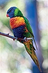 Rainbow Lorikeet Vol.3 Notebook & Journal. Productivity Work Planner & Idea Notepad: Brainstorm Thoughts, Self Discovery, to Do List (Paperback)