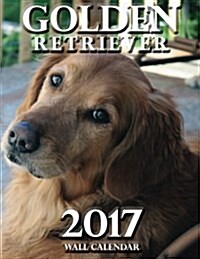 Golden Retriever 2017 Wall Calendar (UK Edition) (Paperback)