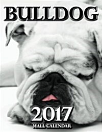 Bulldog 2017 Wall Calendar (UK Edition) (Paperback)