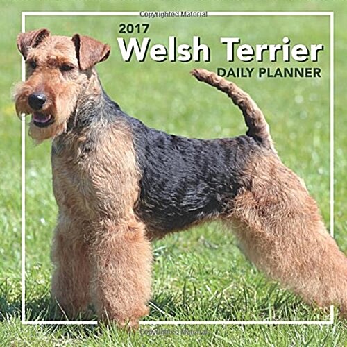 2017 Welsh Terrier Daily Planner (Paperback)