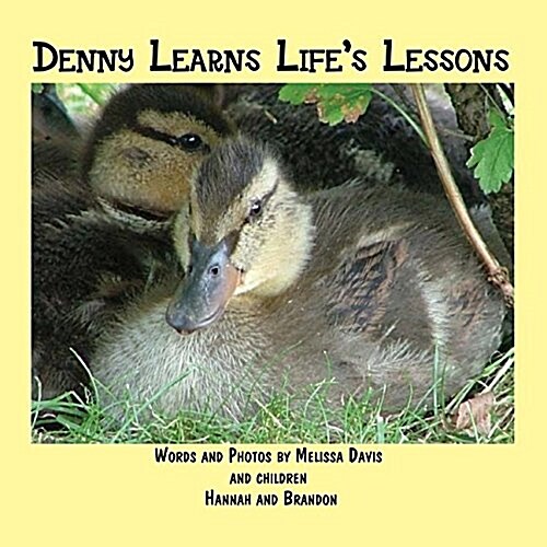 Denny Learns Lifes Lessons (Paperback)