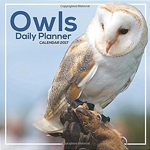 Owls Daily Planner Calendar 2017 (Paperback)
