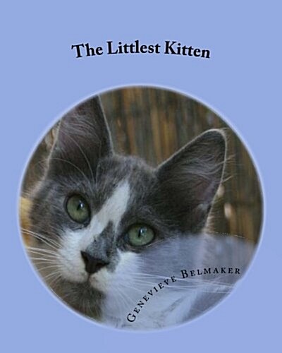 The Littlest Kitten: The True Story of One Jerusalem Kittens Struggle to Survive (Paperback)