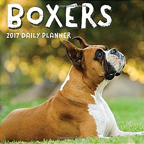 Boxers: Daily Planner Calendar 2017 (Paperback)