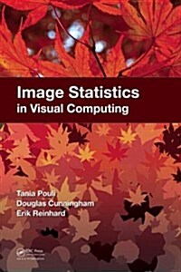 Image Statistics in Visual Computing (Hardcover)