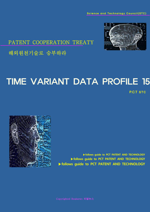 해외원천기술로 승부하라 TIME VARIANT DATA PROFILE 15