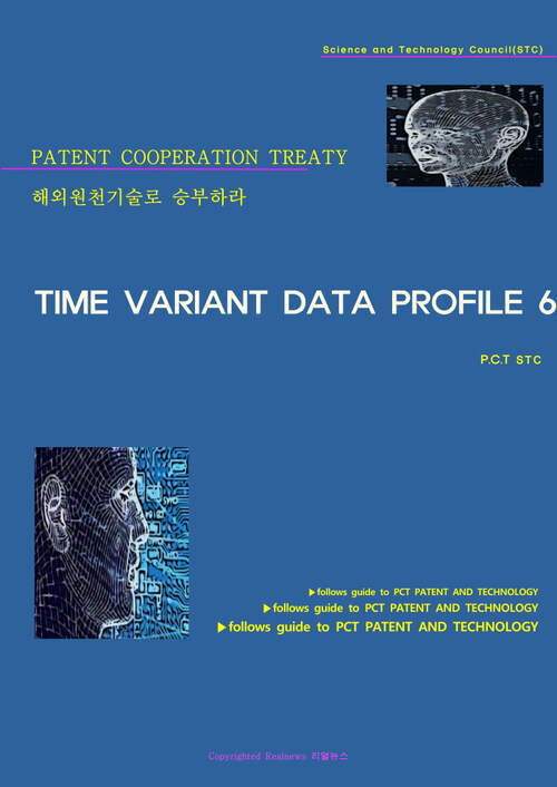 해외원천기술로 승부하라 TIME VARIANT DATA PROFILE 6