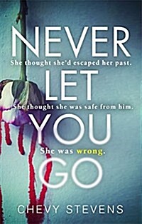 Never Let You Go : A heart-stopping psychological thriller you wont be able to put down (Paperback)