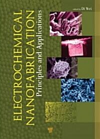 Electrochemical Nanofabrication: Principles and Applications (Hardcover)