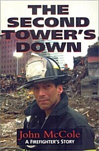 The Second Towers Down (Paperback)