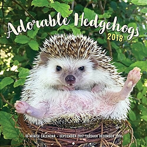 Adorable Hedgehogs 2018: 16-Month Calendar September 2017 Through December 2018 (Other)