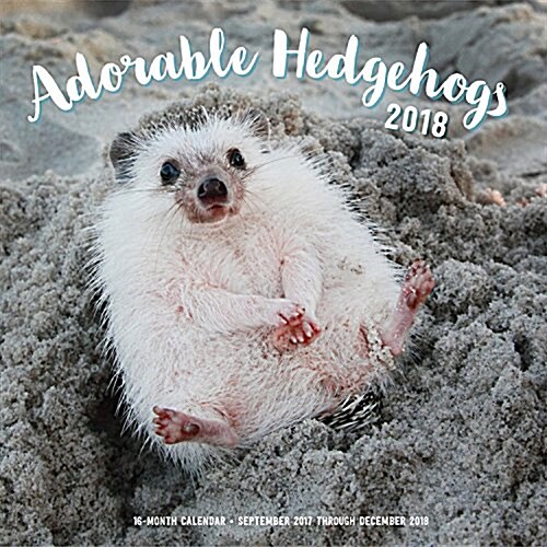 Adorable Hedgehogs Mini 2018: 16 Month Calendar Includes September 2017 Through December 2018 (Other)