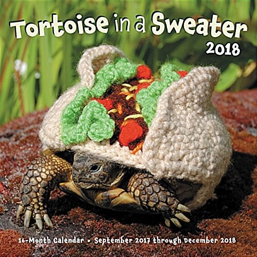 Tortoise in a Sweater 2018: 16-Month Calendar September 2017 Through December 2018 (Other)