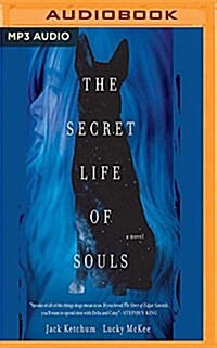 The Secret Life of Souls (MP3 CD)