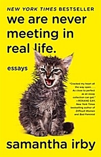 We Are Never Meeting in Real Life.: Essays (Paperback)