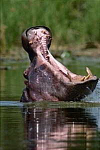 African Hippopotamus Yawning Journal: 150 Page Lined Notebook/Diary (Paperback)