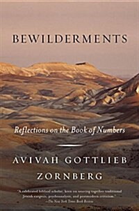 Bewilderments: Reflections on the Book of Numbers (Paperback)