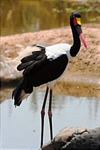 African Saddle-Billed Stork Standing on a Rock Journal: 150 Page Lined Notebook/Diary (Paperback)