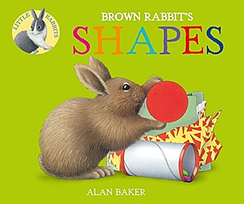 Brown Rabbits Shapes (Board Books)