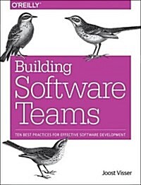 Building Software Teams: Ten Best Practices for Effective Software Development (Paperback)