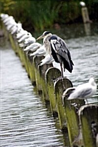 Grey Heron (Ardea Cinerea) on a Post Journal: 150 Page Lined Notebook/Diary (Paperback)
