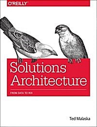 Solutions Architecture: From Data to Roi (Paperback)