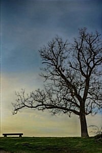A Solitary Tree and a Bench at Twilight in Late Autumn Journal: 150 Page Lined Notebook/Diary (Paperback)