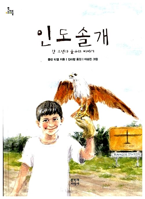 인도솔개