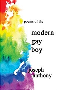Modern Gay Boy (Paperback)