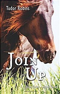 Join Up (Paperback)