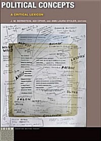 Political Concepts: A Critical Lexicon (Paperback)