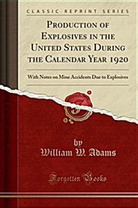 Production of Explosives in the United States During the Calendar Year 1920: With Notes on Mine Accidents Due to Explosives (Classic Reprint) (Paperback)