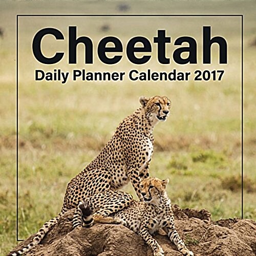 Cheetah: Daily Planner Calendar 2017 (Paperback)