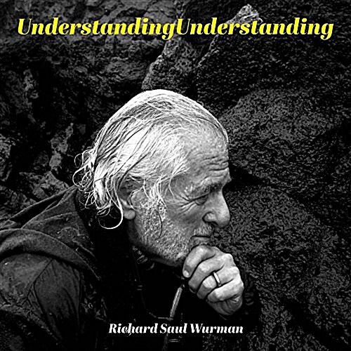 Understandingunderstanding (Hardcover)