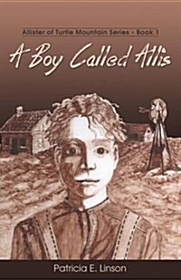 A Boy Called Allis: Allister of Turtle Mountain Series (Paperback)