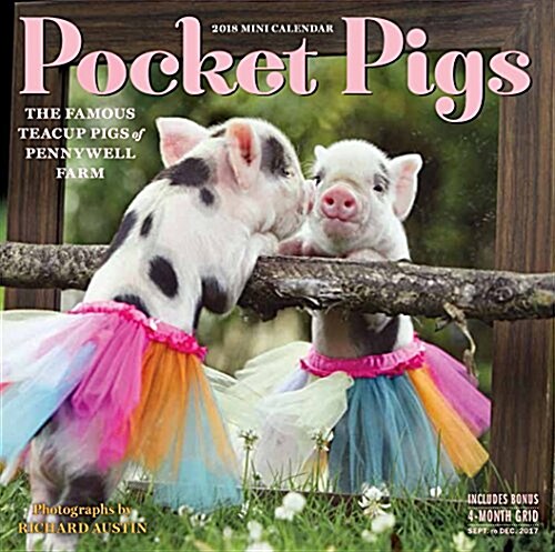 Pocket Pigs Mini Wall Calendar 2018 (Mini)