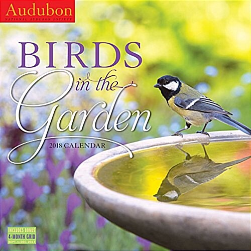 Audubon Birds in the Garden Wall Calendar 2018 (Wall)